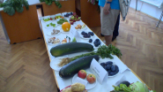 Dobrá úroda na výstave ovocia a zeleniny_20