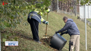 Cintoríny v Bardejove sú pripravené